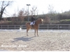 Concours de Dressage à la Poneyterie