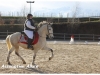 Concours de Dressage à la Poneyterie