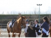Concours de Dressage à la Poneyterie