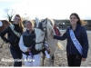 Concours de Dressage à la Poneyterie