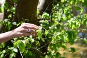 Shooting Agate et Lune